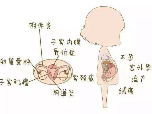 陰道分泌物萝卜AV视频分析陰道炎早期症狀