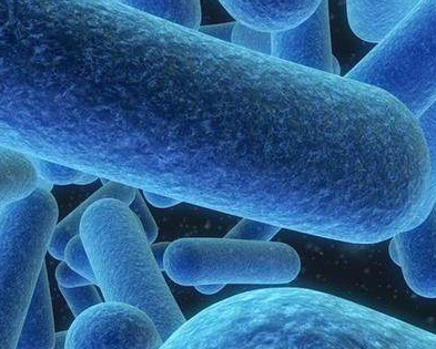 陰道分泌物萝卜AV视频廠家提醒細菌性陰道炎注意些什麽？
