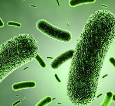 陰道分泌物萝卜AV视频淺析黴菌性陰道炎的危害性