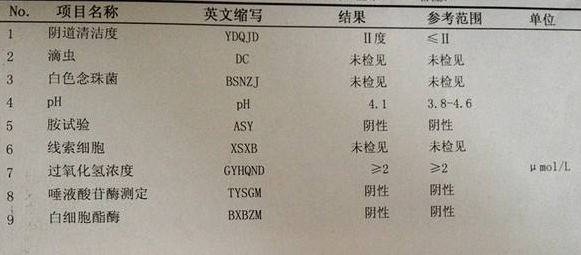 萝卜视频APP网站GK-Y全自動陰道分泌物萝卜AV视频廠家科普“白帶常規”查看報告！