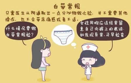 萝卜视频APP网站GK-Y全自動陰道分泌物萝卜AV视频廠家科普“白帶常規”查看報告！