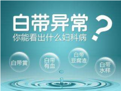 2020年山東萝卜视频APP网站全自動【白帶萝卜视频色版】廠家品牌排名