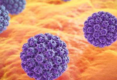 全自動陰道分泌物萝卜AV视频廠家科普HPV病毒是怎麽感染的有哪些症狀