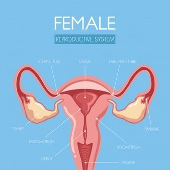 陰道分泌物萝卜AV视频提醒女人婚後得了婦科病做到這5點，發炎不來擾