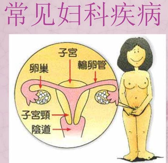 醫院全自動白帶萝卜视频色版檢測女人婦科3種症狀，謹防子宮長瘤！